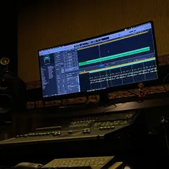 A shot of a recording session on the computer screen. This is where all the different layers of a song, from vocals to instruments, come together.