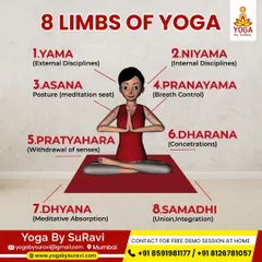 An animated guide to the 8 limbs of yoga, illustrating the path from external disciplines to meditative absorption and integration.