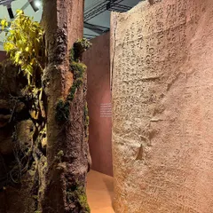 The story of 'Soil' is told through layers of texture and form. Here, a wall with debossed script stands beside a structure suggesting ancient tree bark, creating a dialogue between human narrative and geological time.