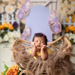 A sweet dreamer with her hands framing her face, nestled in a wicker pram in our sunny butterfly garden setup.