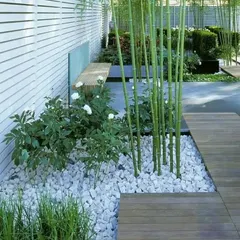 A beautiful example of a modern Zen garden. This design uses white pebbles, bamboo plants, a simple bench, and clean wooden decking.
