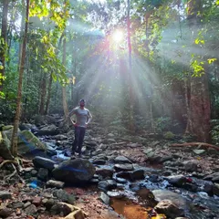 Sunbeams break through the canopy in the dense forest section of the Kumaraparvatha trail. These magical moments make the tough climb feel truly special.