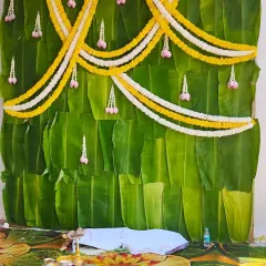 A simple and natural backdrop for a pooja, created with a panel of fresh banana leaves and decorated with garlands of yellow and white flowers.