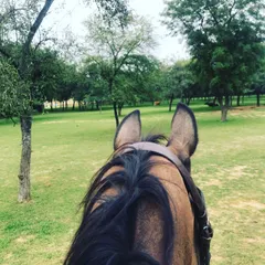 The best view in the world, right between a horse's ears. Our trail rides take you through beautiful, open landscapes, offering a sense of peace you won't find anywhere else.