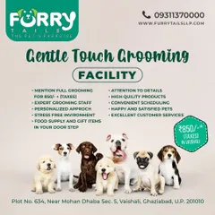 Our Gentle Touch Grooming facility offers a personalized, stress-free approach with expert staff. This package includes a full groom, high-quality products, and attention to detail for a happy pet.