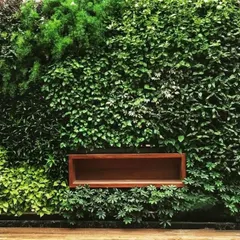 This is a living wall I created, a vertical garden that acts as a piece of natural art. It's not just visually stunning; it also improves air quality, making it perfect for both exterior and interior spaces.