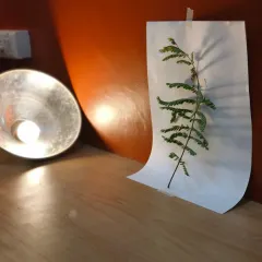 This is a typical setup for a still life study in our studio. We teach students how to observe the effects of a single light source on an object to understand form, shadow, and depth.