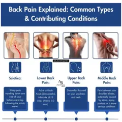 Back pain isn't all the same. This guide explains the differences between sciatica, lower, upper, and middle back pain, helping you understand the source of your discomfort.