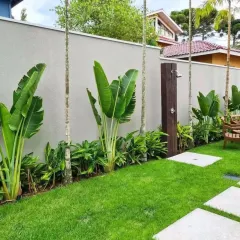 A simple yet elegant backyard solution featuring a lush lawn, privacy wall, and tropical plants like the Bird of Paradise. An outdoor shower is neatly integrated into the design for poolside convenience.