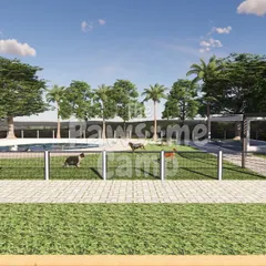 This rendering shows the layout of our agility and play area, designed for maximum fun and safety.