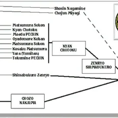 This is the lineage chart of our Shorin-Ryu Seibukan style. It traces our techniques from the ancient masters of Okinawa directly to my teacher, ensuring the authenticity of what we practice.