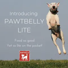 Introducing Pawtbelly LITE. We created this simple, wholesome meal of whole chicken and healthy brown rice for dogs who need something a little lighter, and for pet parents who want a great fresh food option that's easy on the pocket.