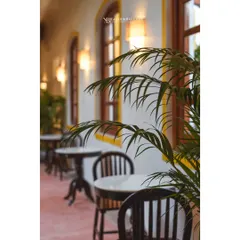 A closer look at the seating at Colocal, with a focus on the foreground plant to add depth and a natural element. This composition draws the eye down the line of tables, giving a sense of the space's layout.