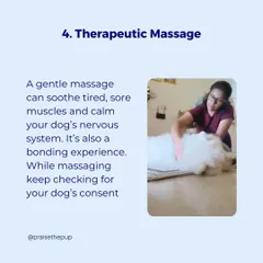 A gentle, therapeutic massage can soothe sore muscles and calm a dog's nervous system, especially after a stressful event. It's also a wonderful bonding experience, and I always watch for signs of consent to ensure they are enjoying it.