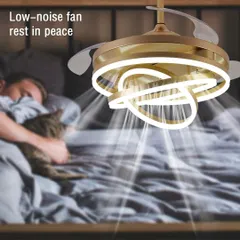 Our fan with a light is designed to be low-noise, so you can rest in peace. It's a perfect all-in-one solution for a bedroom, providing both a cool breeze and beautiful ambient lighting.