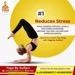 One of the primary benefits of yoga is stress reduction. The practice helps lower cortisol levels, the body's stress hormone, helping you feel calmer and more balanced in your daily life.