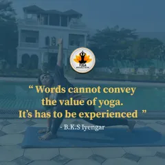 "Words cannot convey the value of yoga. It has to be experienced." This quote from B.K.S. Iyengar perfectly captures the essence of the practice. It's a personal journey of discovery.
