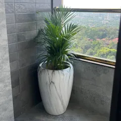 A beautiful marble-finish fibre planter housing an Areca Palm on a balcony. This combination is perfect for creating a sophisticated and serene corner with a lovely view.