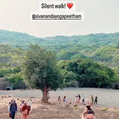 A silent walk, or 'mauna', through the natural landscape surrounding the ashram. This practice of observing silence helps to quiet the internal chatter and cultivate a state of mindful awareness.
