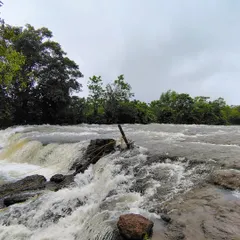 The powerful rush of water at Nipli Falls, a lesser-known but equally beautiful spot we explore near Jog Falls in Shivamogga.
