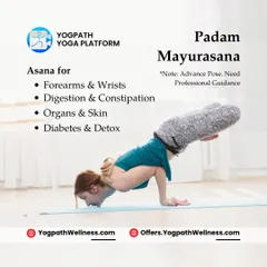Padam Mayurasana, or Lotus Peacock Pose, is an advanced asana that can be beneficial for those managing diabetes. It also strengthens forearms, improves digestion, and helps detoxify the body. Professional guidance is required for this pose.