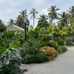 The same corporate space, transformed. By introducing a diversity of plants with varied heights, colors, and textures, the garden now feels dynamic, alive, and inviting.