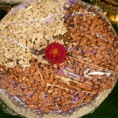 A beautifully arranged plate of dry fruits, with cashews and almonds separated and topped with a fresh flower. Simple, elegant, and healthy.