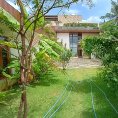 A view from the backyard of the same residential project, showing a healthy green lawn and banana trees. I focus on creating gardens that are not just beautiful but also usable for the family.