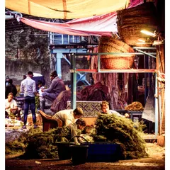 An atmospheric shot from our Phool Mandi photostory, capturing workers sorting through heaps of flowers under the warm glow of market lights. We use color grading to enhance the mood and bring out the textures of the scene.