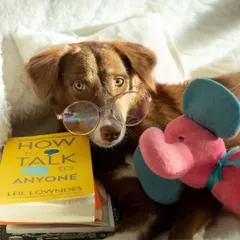 A studious pup! Simi looks incredibly smart and funny wearing oversized glasses while "reading" a book.
