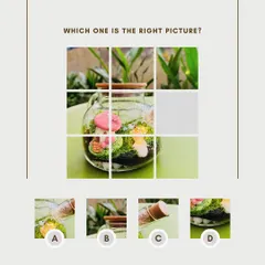 A fun little puzzle for my followers. This interactive post showcases one of my mushroom-themed terrariums, engaging the community in a playful way.