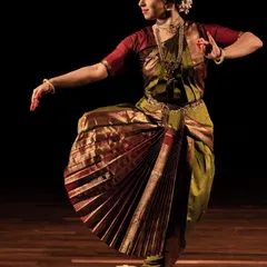A photograph capturing the dynamic energy of a pure dance or 'nritta' sequence. The fan of the saree pleats is a classic visual element of a Bharatanatyam solo performance.