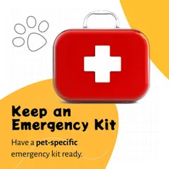 A well-stocked emergency kit is a must-have for every pet owner. We guide you on assembling a pet-specific first aid kit so you have essential supplies readily available in case of an injury or illness.