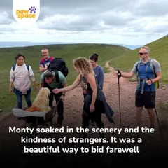 Along their journey, Monty was met with kindness from strangers, showing how the love for an animal can bring people together.