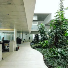 The indoor courtyard at the Virchow 16 research lab in Basel is a space for deep thinking and quiet contemplation. It brings the calming influence of a dense garden into the core of a high-tech research environment.