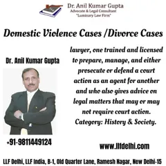 This graphic outlines our services for clients facing divorce or domestic violence cases. We are licensed to prepare, manage, and litigate court actions, providing expert legal advice for both in-court and out-of-court matters.
