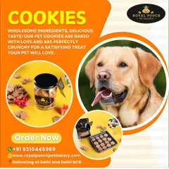 My pet cookies are baked with love and are perfectly crunchy for a satisfying treat. This image shows a jar of my cookies, made with wholesome ingredients that your pet will love.