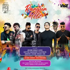 Part of a massive DJ lineup for the Rangeen Holi festival. I have experience playing at large scale, multi artist events.