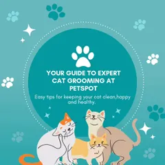 Here is our guide to expert cat grooming. We provide easy tips to keep your feline friend clean, happy, and healthy, because we know grooming is an important part of their overall wellness.