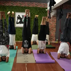 A studio full of students united in their practice of Sirsasana (Headstand). This pose builds focus, strength, and a new perspective on what the body can do.