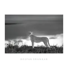 Shooting from a low angle in black and white transforms this cheetah into a dramatic, statuesque figure. The monochrome tones highlight its elegant form against the vast, moody landscape.