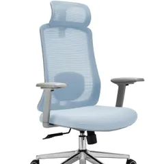 This ergonomic executive chair features a breathable mesh back, adjustable headrest, and lumbar support. This model is in a stylish light blue color.