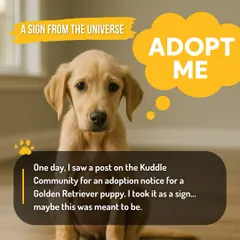 A rescue story begins. It started with an adoption notice for a Golden Retriever puppy. For this pet parent, it felt like a sign from the universe.