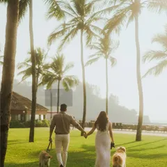 A couple walks away from the camera through a sunlit grove of palm trees in Goa, holding hands, each walking a beautiful golden retriever. This is a perfect example of a pet-friendly family portrait session.