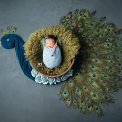 A truly creative Little Krishna setup, with the baby nestled in a basket that forms the body of a peacock. The fanned-out feathers create a breathtaking effect.