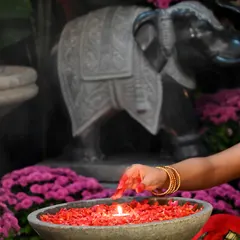 A moment from our Diwali celebration at the store. Come celebrate with us, sip on homemade natti coffee, and let my furry staff, Scooby & Subbi, show you around our festive collection.