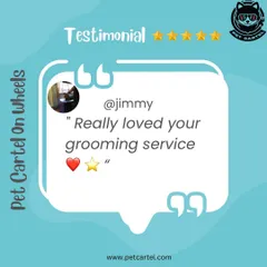"Really loved your grooming service." Simple, powerful feedback from a happy customer that makes our day. We strive to provide a 5-star experience every time.