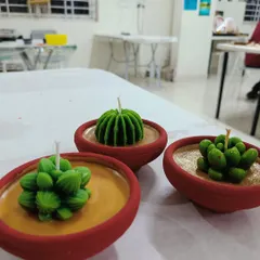A set of three terracotta pot succulent candles, perfect for adding a touch of green to your decor.