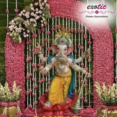 A vibrant and traditional Ganpati decoration featuring a stunning idol against a backdrop of pink flowers and hanging pearl strings. The dense floral arch and side arrangements create a rich and festive look, perfect for welcoming Bappa into your home.