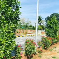 We planted rows of healthy shrubs and trees along the roadside within a new residential layout. This kind of green infrastructure improves the environment and the aesthetic appeal of the entire community.